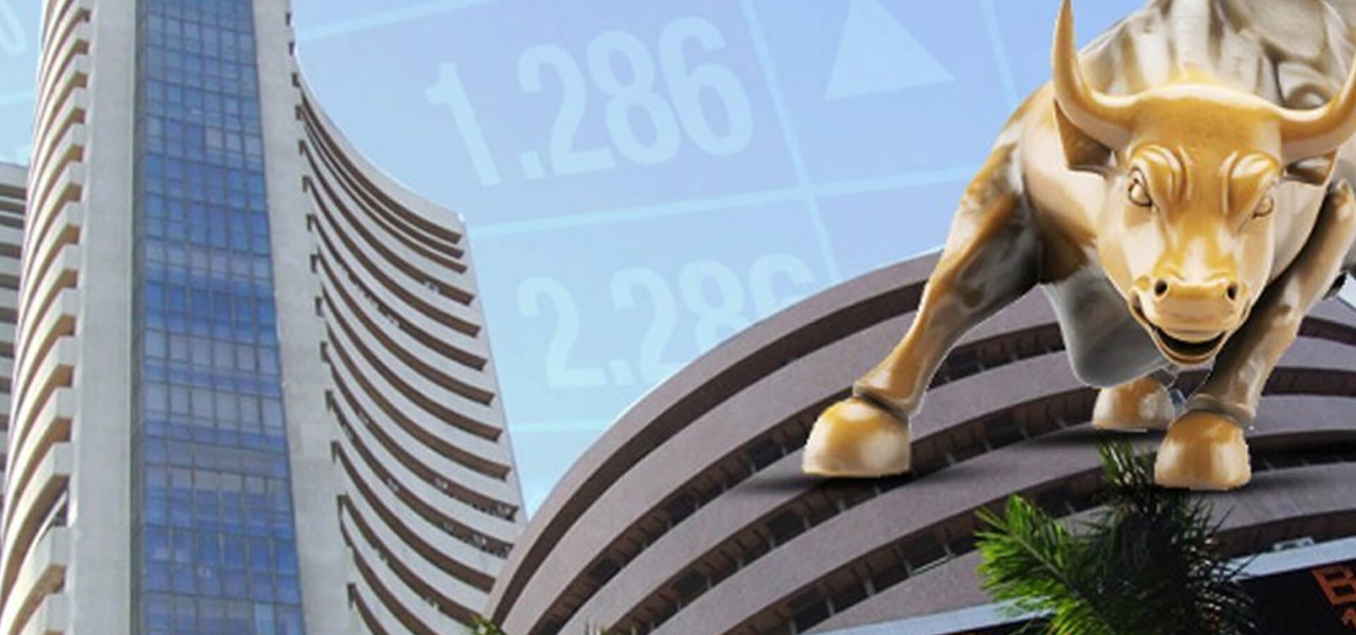 5xTrade Online Classes